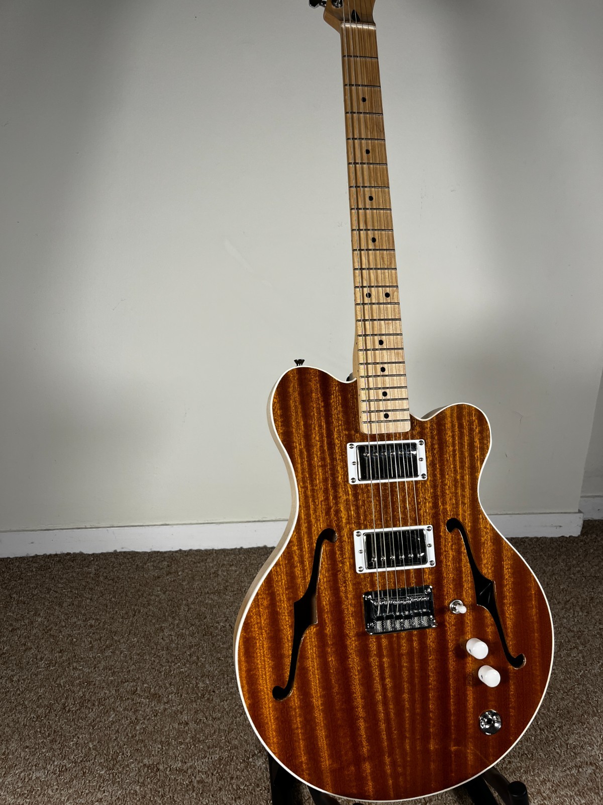 Catalyst Semi-Hollow Electric Guitar – FREE HARDCASE & SHIP (ES225/Tele hybrid)