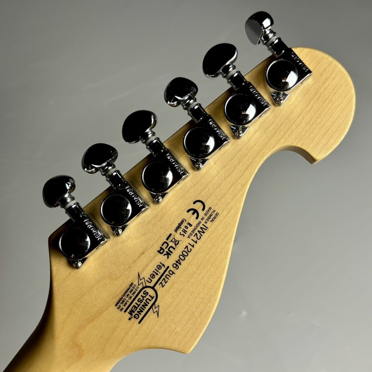 Washburn N2-NUNO Padauk Used Electric Guitar