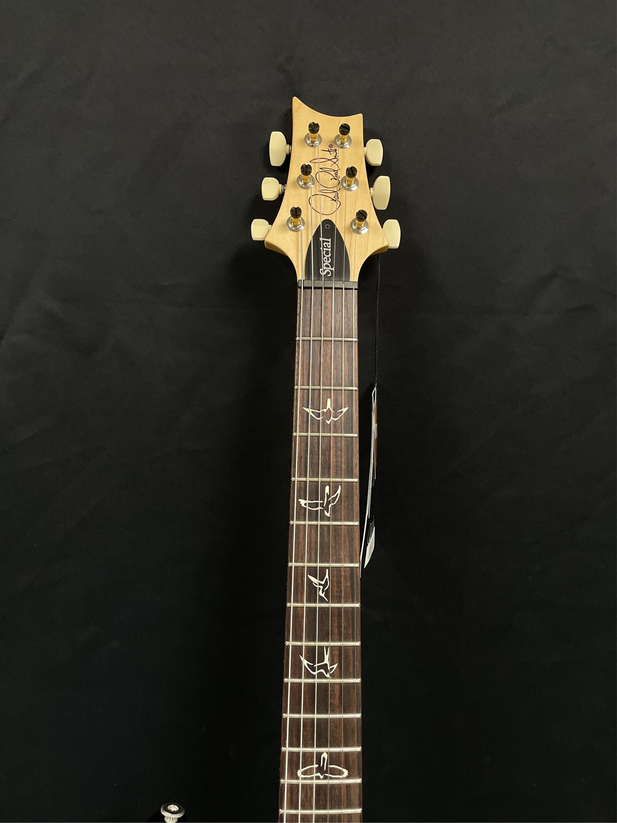 PRS Swamp Ash Special Black Doghair Smokeburst