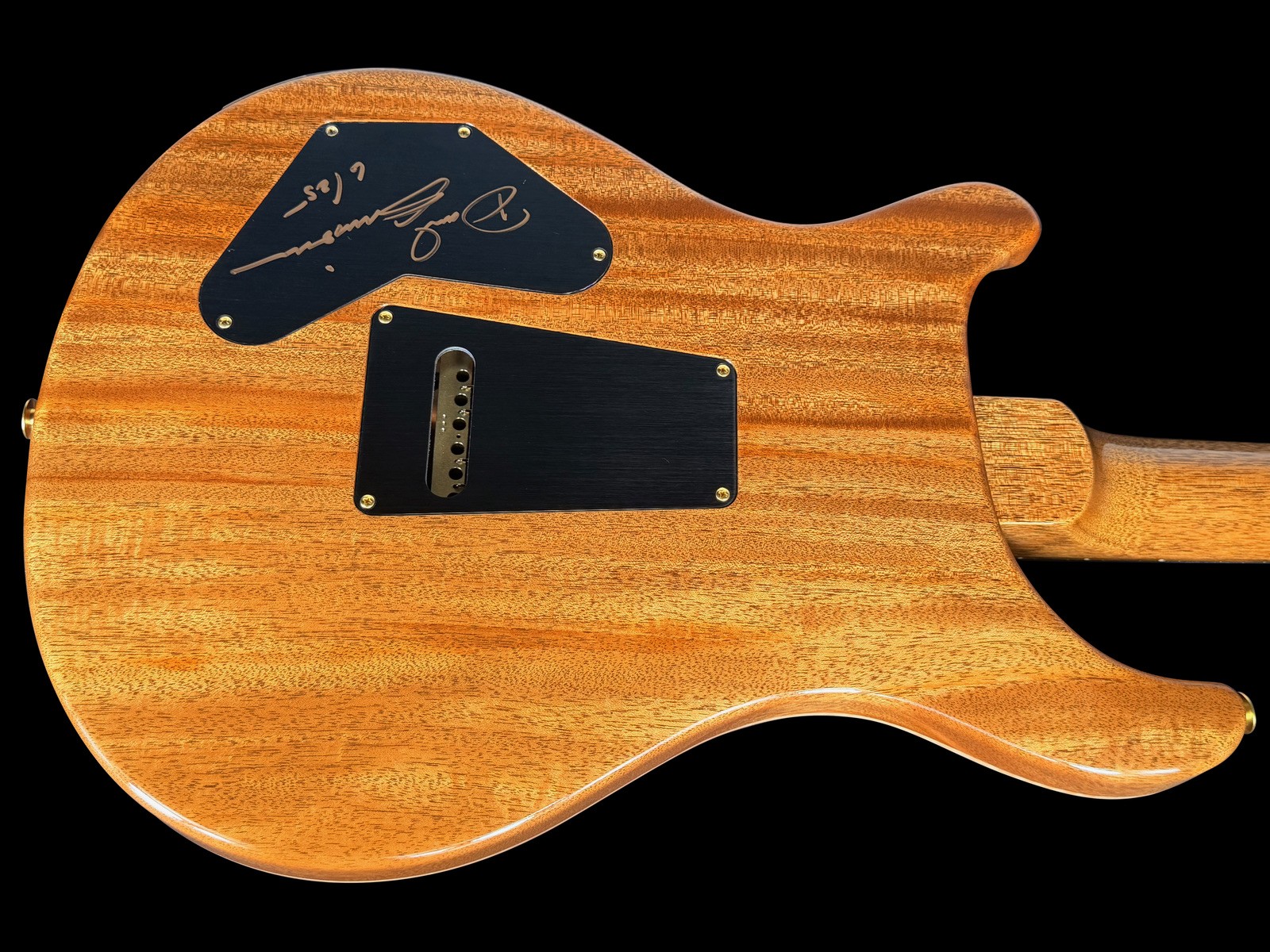2024 PAUL REED SMITH PRS DAVE GRISSOM DGT WOOD LIBRARY BR@ZILIAN ~ FROST BITE