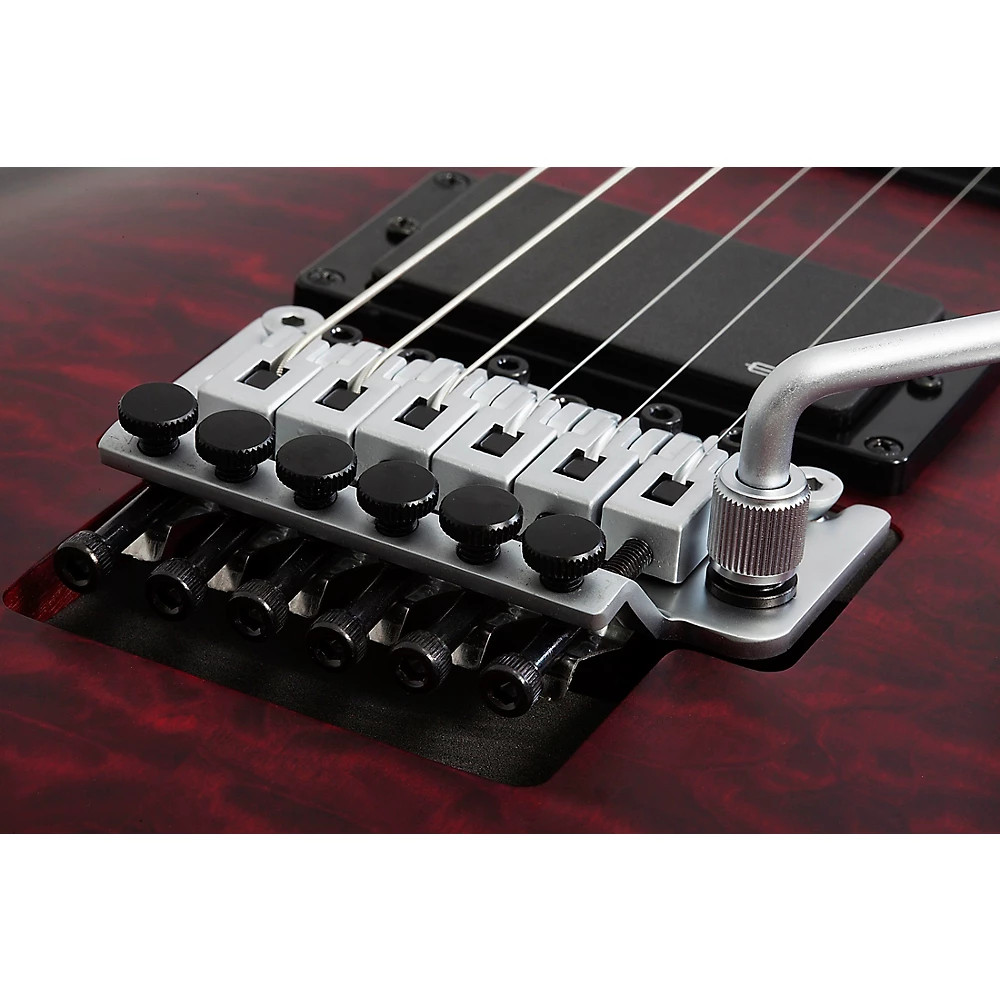 Schecter Guitar Research C1 Platinum FRSustaniac Electric Guitar Kit