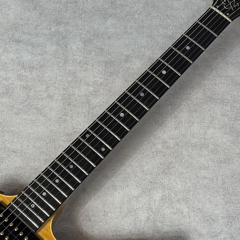 Gibson USA Used 1982 THE Explorer CMT Natural w/Hard case
