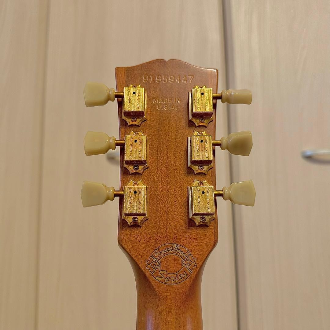 Gibson Gibson USA Les Paul Smart Wood
