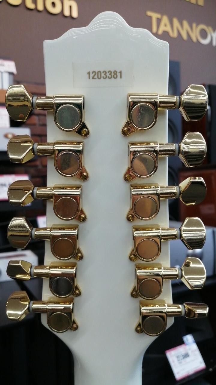 EASTWOOD CLASSIC 12 12-string Electric Guitar