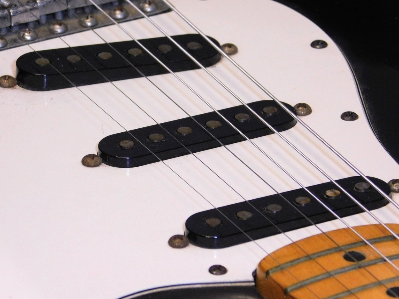 Fender Stratocaster 1981 International Color Cathay Ebony 4.40kg Electric Guitar
