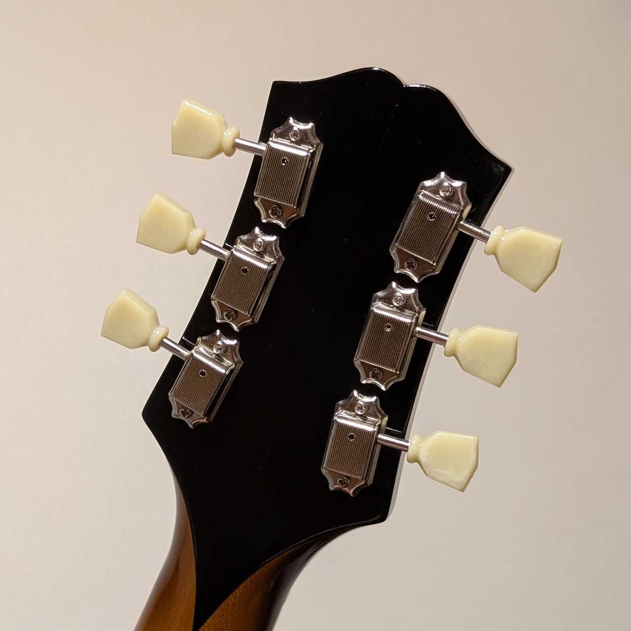 KING SNAKE Two Bone -Dirty Sunburst – #GG1jh