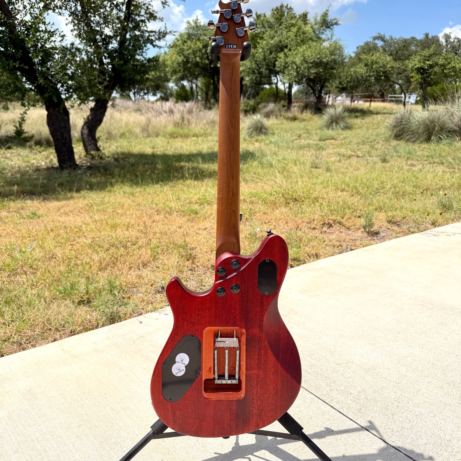 EVH Wolfgang® WG Standard Exotic Bocote