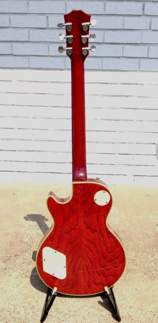 1980 Arbor Les Paul Guitar w/Gigbag! -LL