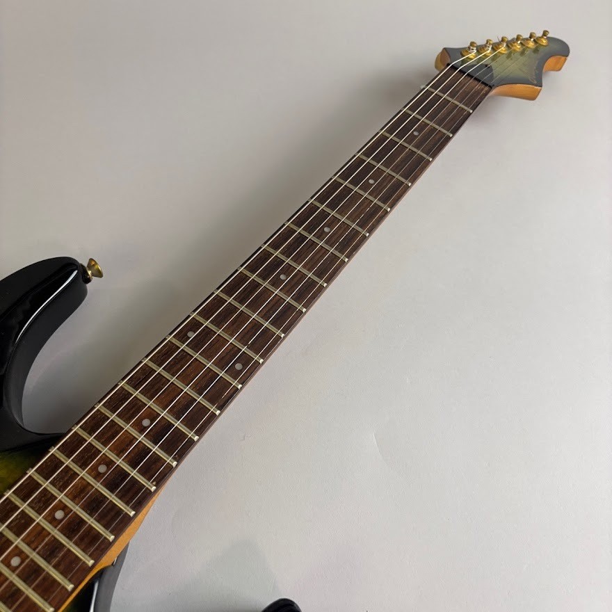 Aria Pro Ii Magna Series Hsh Model Safe delivery from Japan