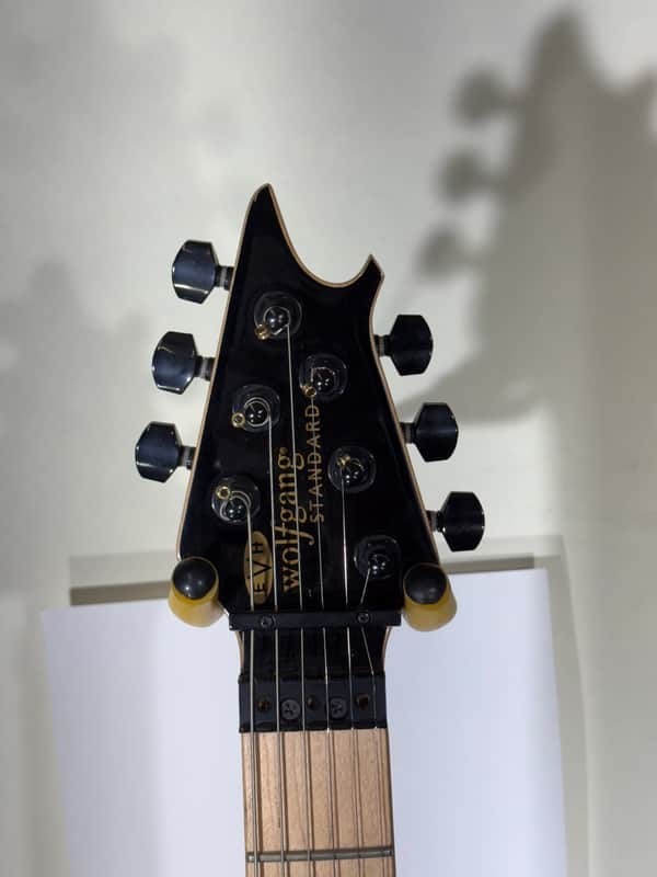 EVH Wolfgang WG Standard – Bomber Black