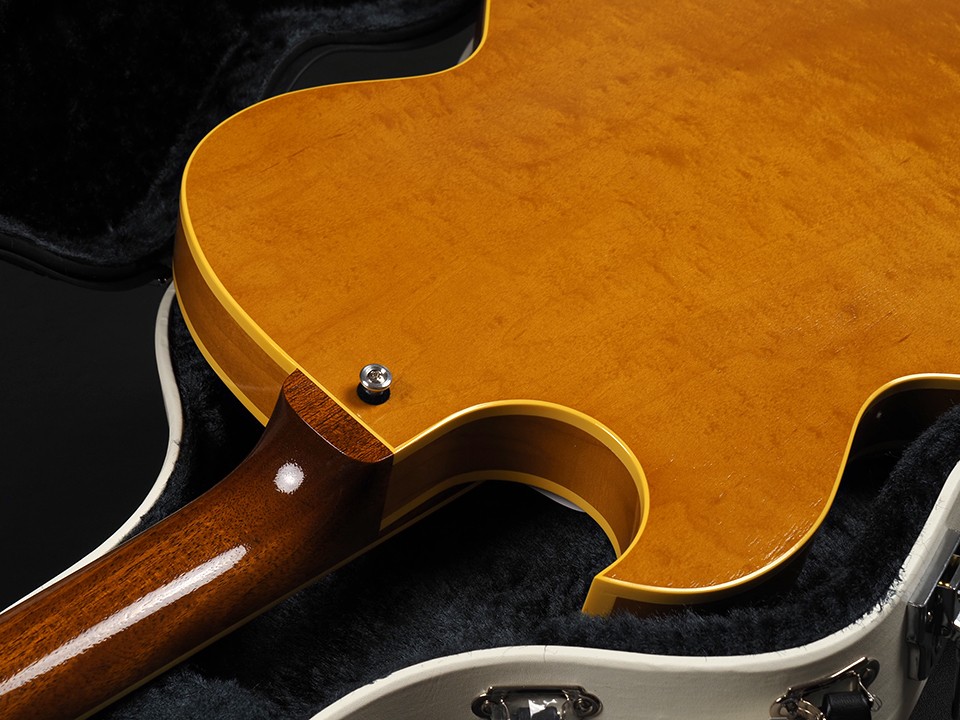 KING SNAKE Muddy ~Amber Natural~