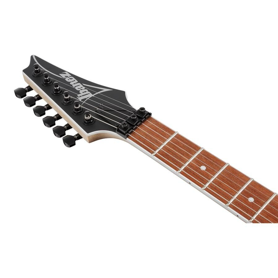 Ibanez RG420EX-BKF Black Flat Standard RG Series Electric Guitar with Gig Bag