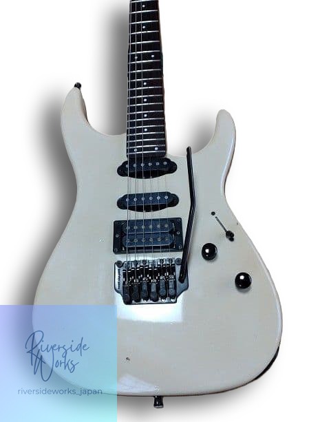 FERNANDES FR-55T with Gig Bag