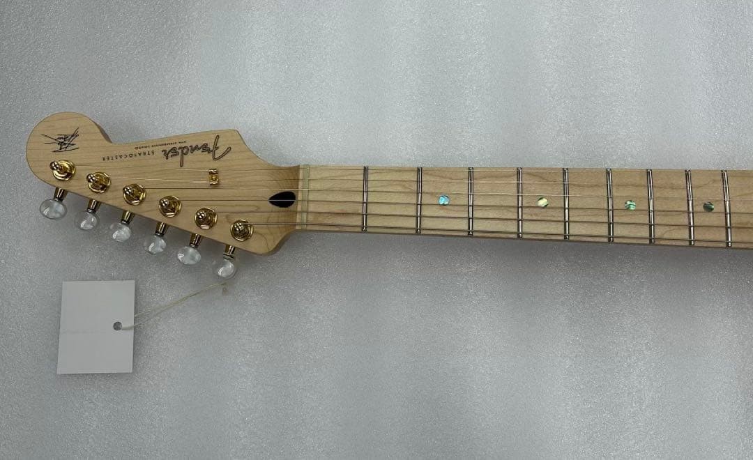 Fender Richie Kotzen Stratocaster 3.5kg Safe packing!