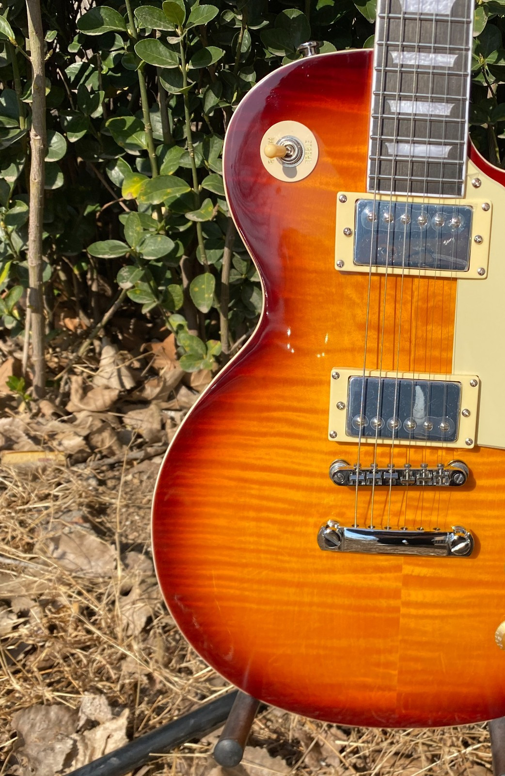 Electric guitar flame maple venner 6strings mahogany body fast shipping in US