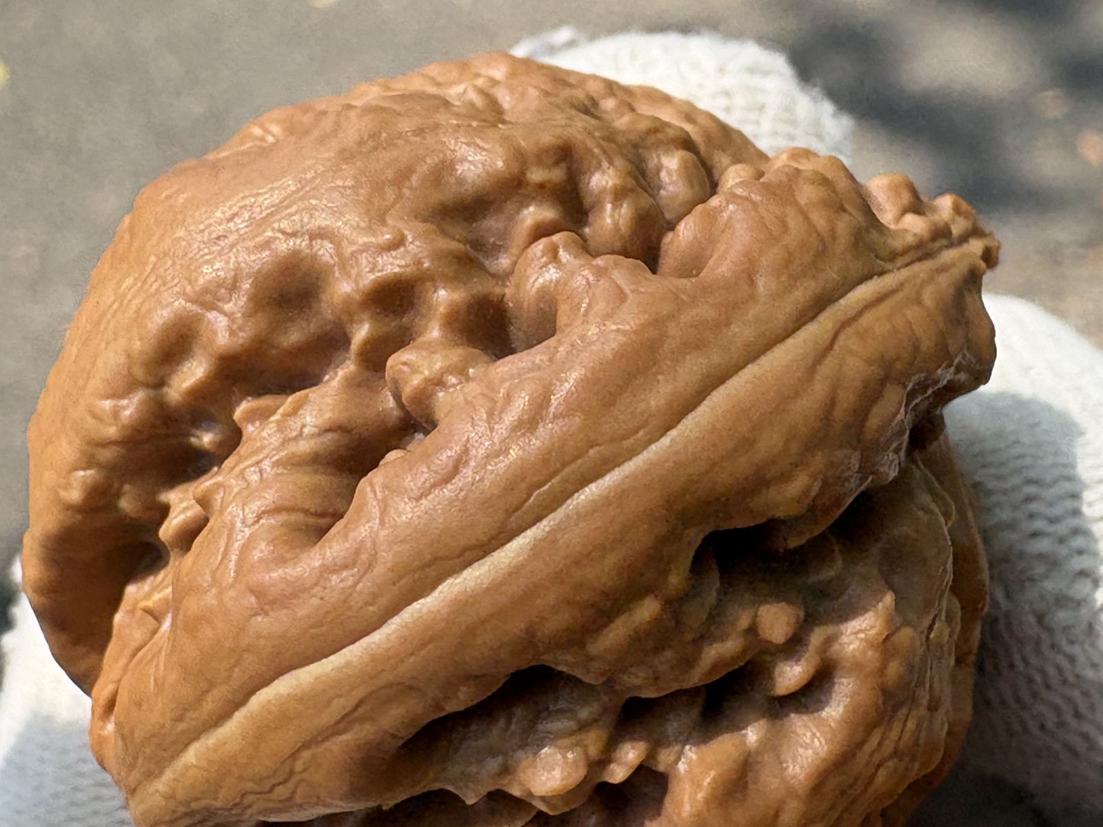 Hand Massage ball Wenwan walnut T-rex Thick Ridge Ba Wang Long Qiu Zi