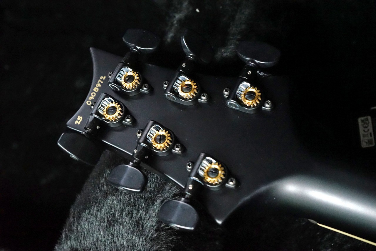 Paul Reed Smith (PRS) Mark Holcomb 85:Gray Black Stained Binding 2025