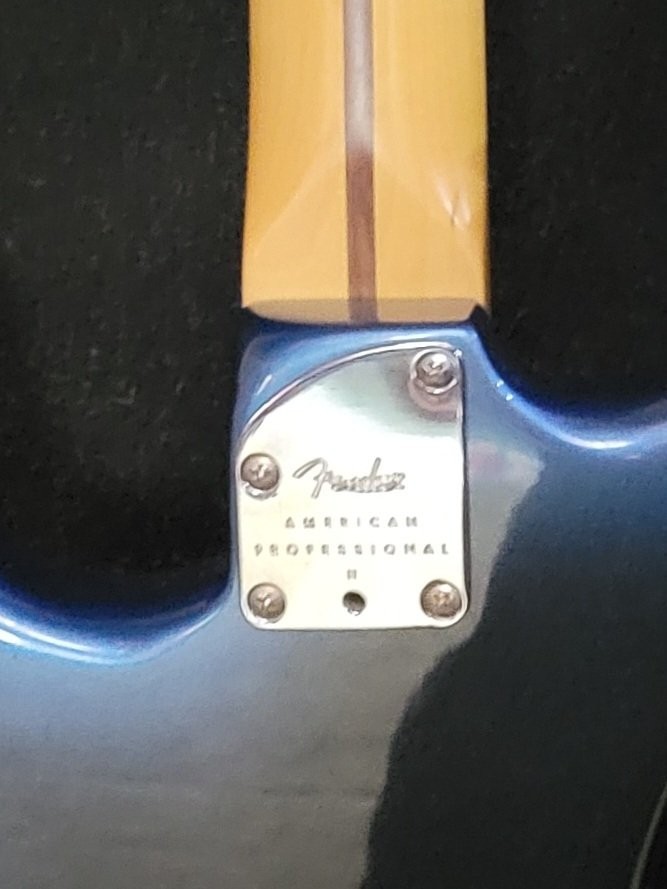 75th Ann. Fender American Professional II Stratocaster – Dark Night Rosewood