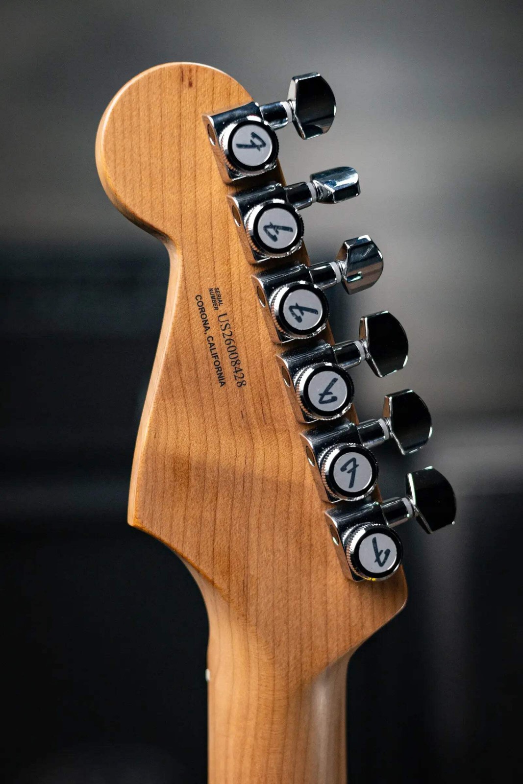 Fender Limited Edition American Ultra II HSS Stratocaster Electric Guitar – Graf