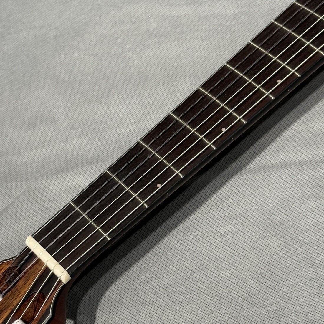 Ibanez FRH10N-NTF Natural Flat Nylon Electric Guitar with gig bag