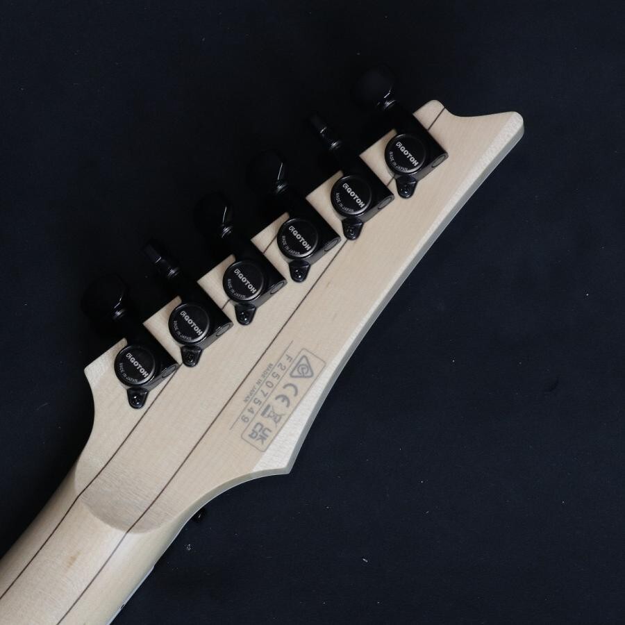 Ibanez Genesis Collection RG565R-EB (Electric Blue)