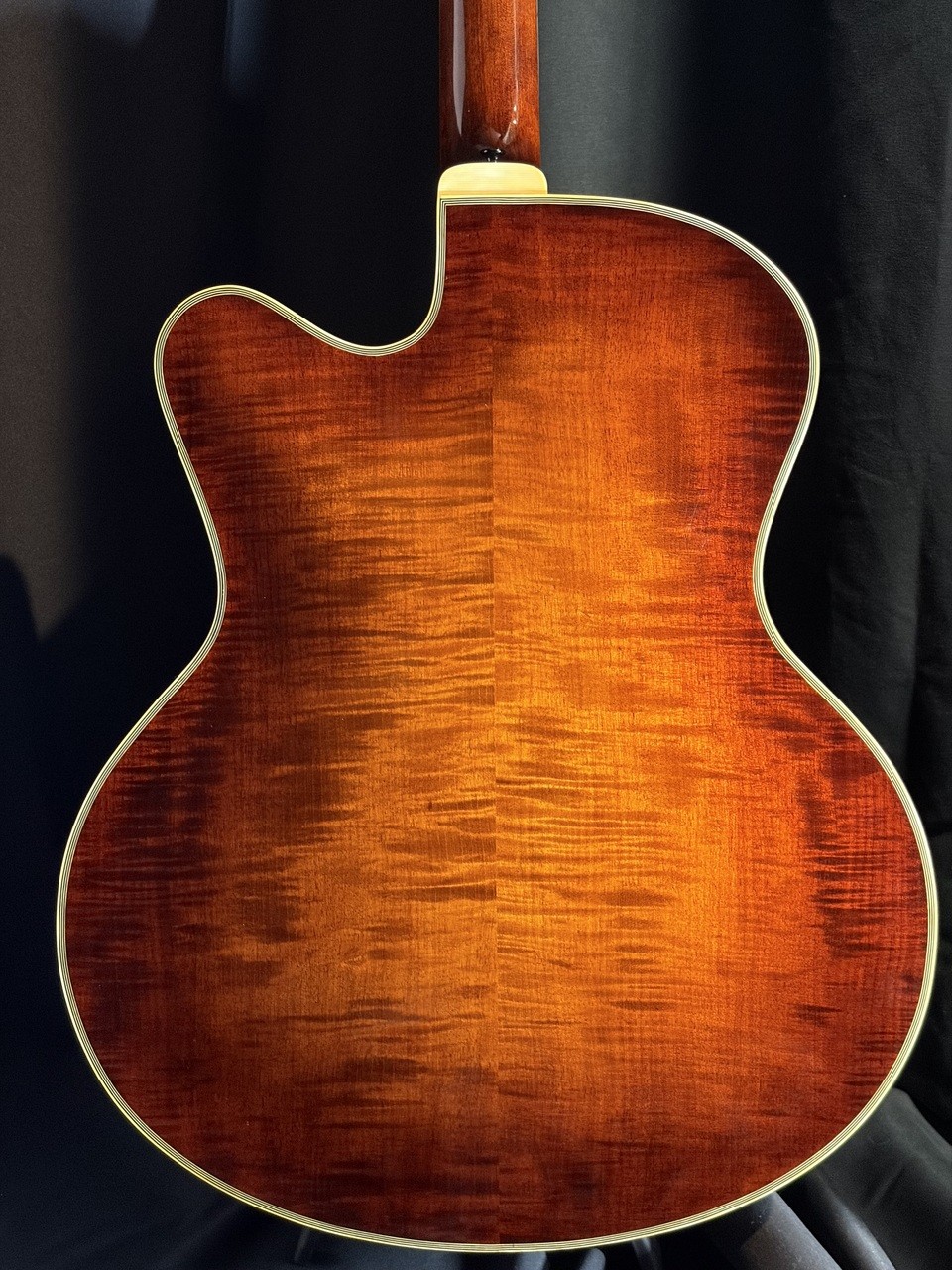 Eastman AR810