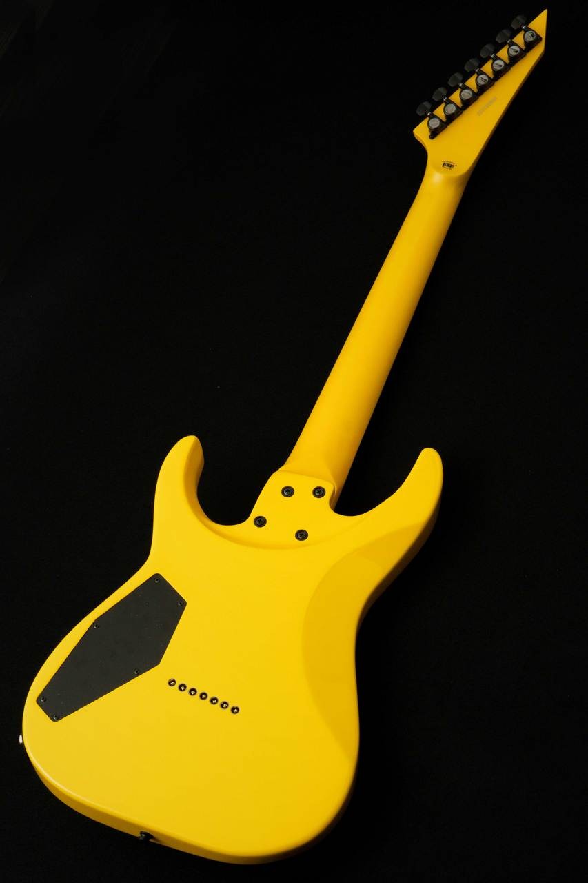 EDWARDS E-M-II-7 -Yellow Metallic- #GG3gh