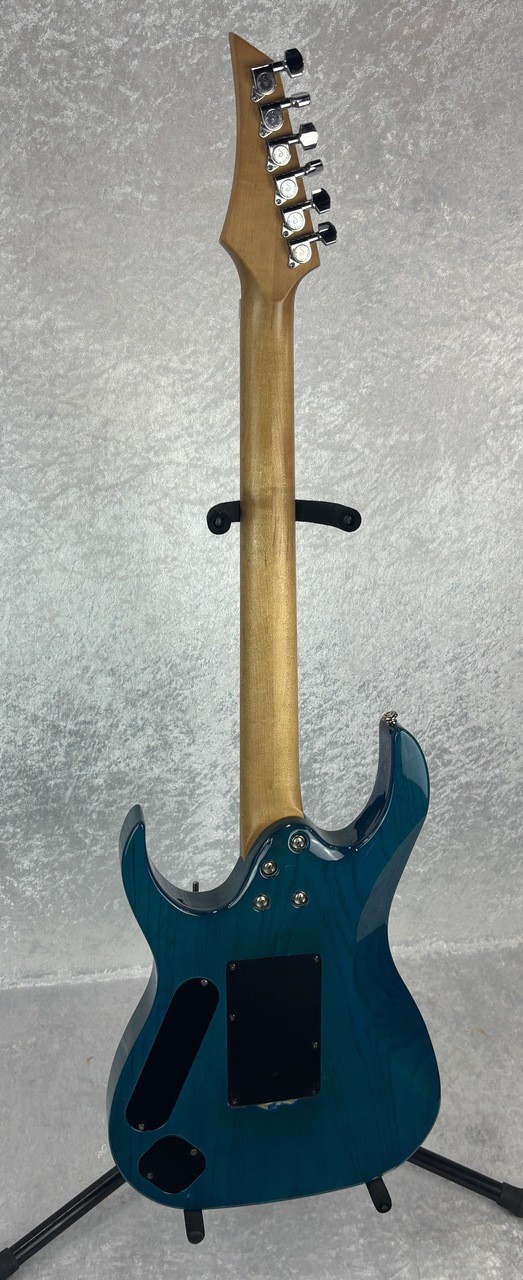 Ed Roman Scorpion Picasso electric guitar with case