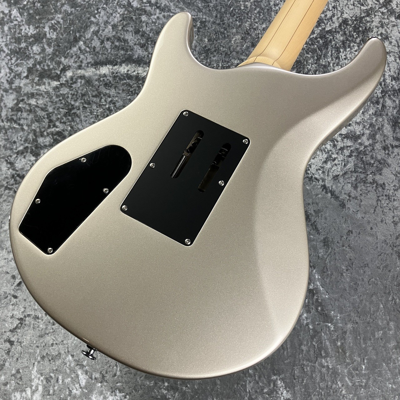 FUJIGEN(FGN) EEL-MH-TR/PLR [USED] w/hard case