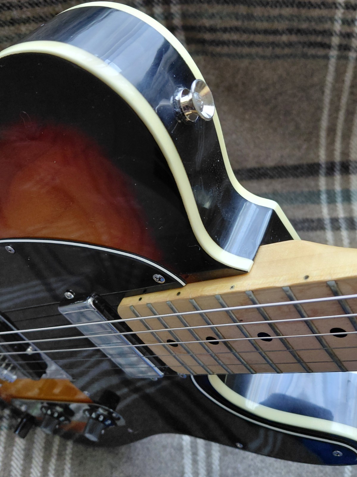 Bill Lawerence Swampcaster