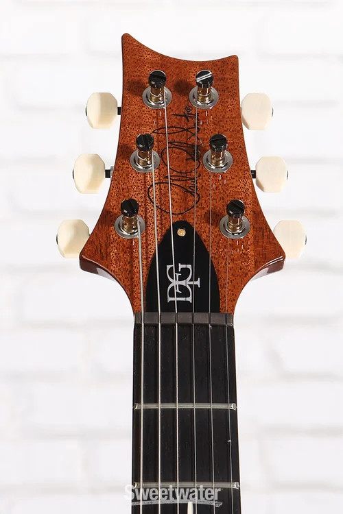 PRS DGT Electric Guitar with Bird Inlays – Tiger Eye, 10-Top