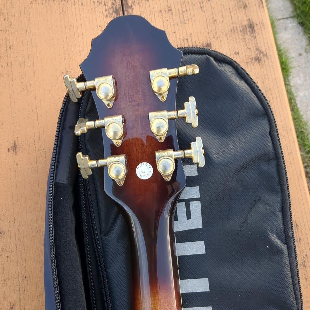 Michael Kelly Semi-Acoustic Guitar Special Gig Bag With Strap