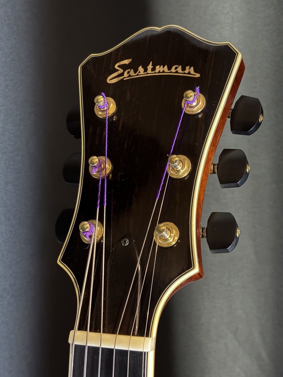 Eastman AR810