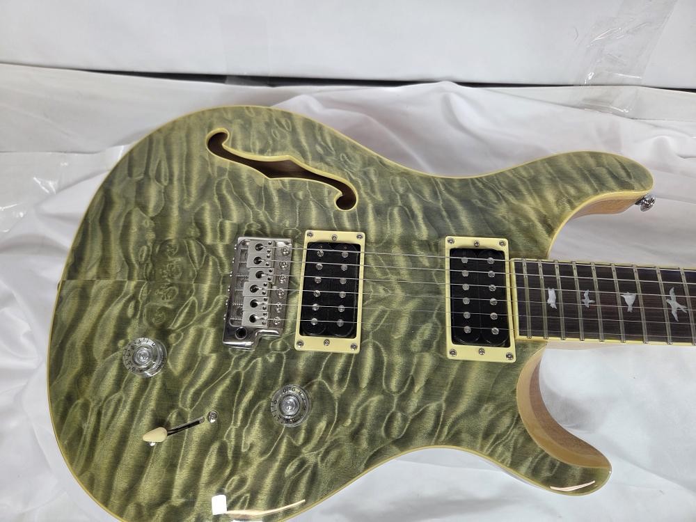 PAUL REED SMITH – PRS CUSTOM SE (P25022738)