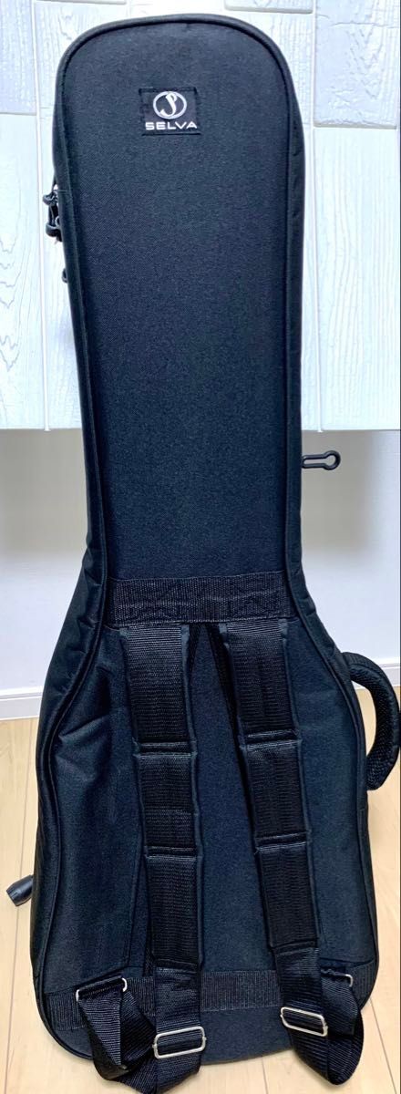 ESP LTD EC-1000 EMG81/60 Black Electric Guitar with SELVA Gig Bag