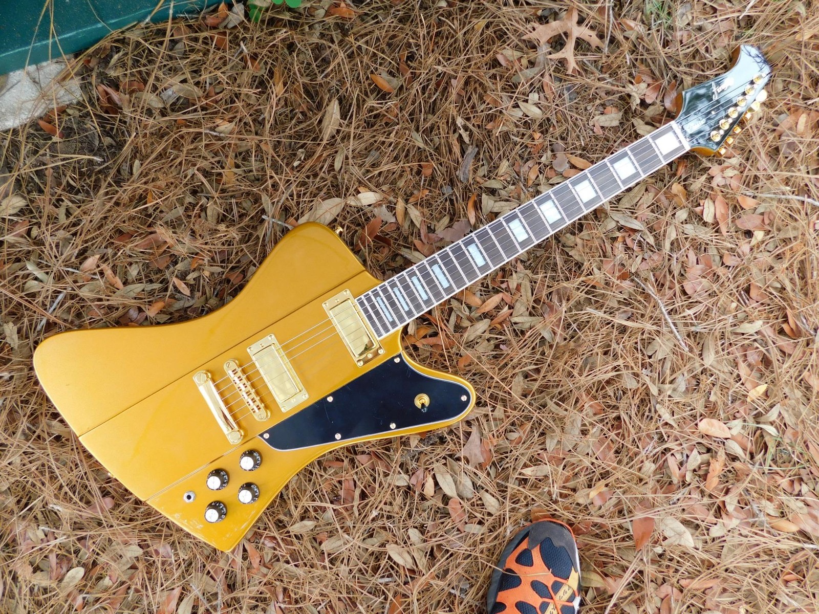 Firefly Firebird Set Neck Electric Guitar,Paper in Oil Capacitors, Very Cool