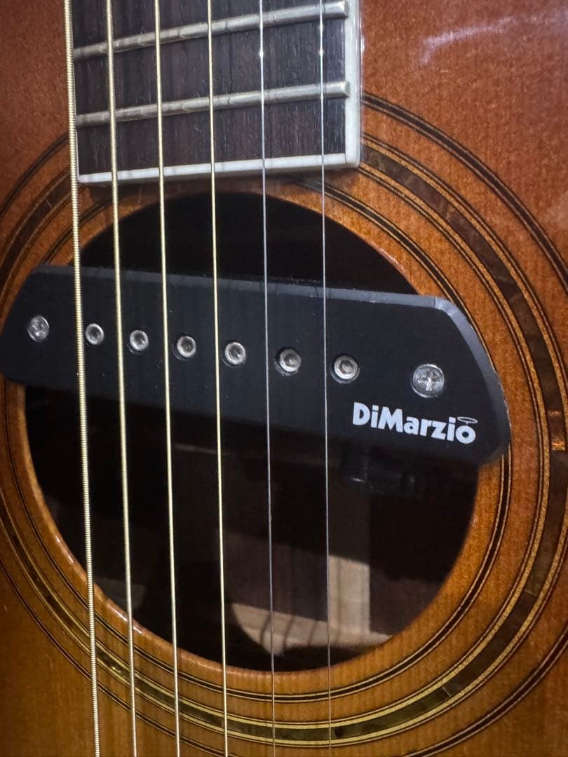 Morris M 601 side back with Jacaranda DiMarzio pickup