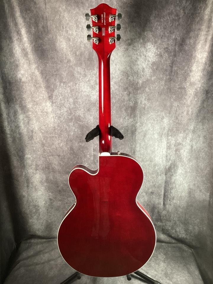 Gretsch G6119T-ET Tennessee Rose Pro Players Edition USED