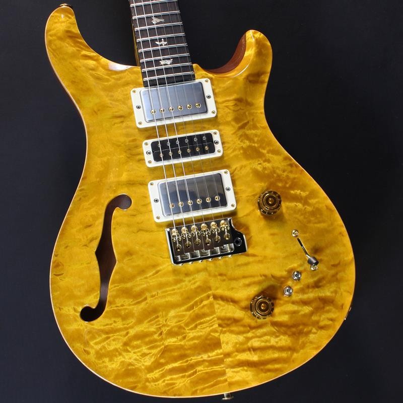Paul Reed Smith(PRS) Wood Library Special Semi-Hollow (Honey Gold) #25 0402026