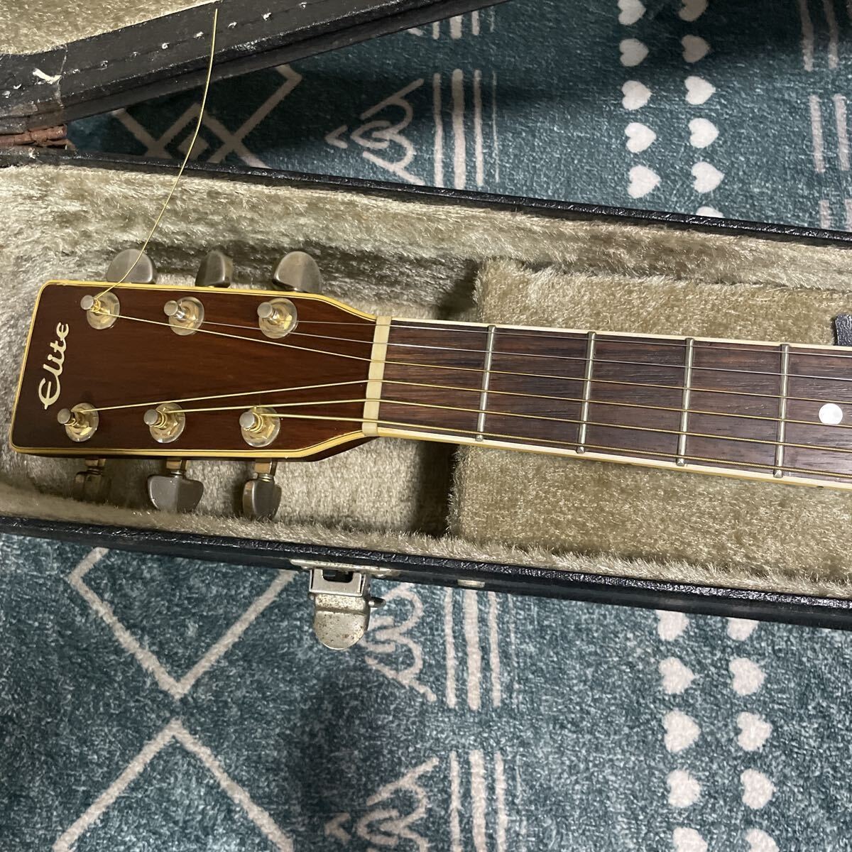 SALE! Jacaranda Takamine beautiful item! Roaring Elite TW-60 Rare Top veneer