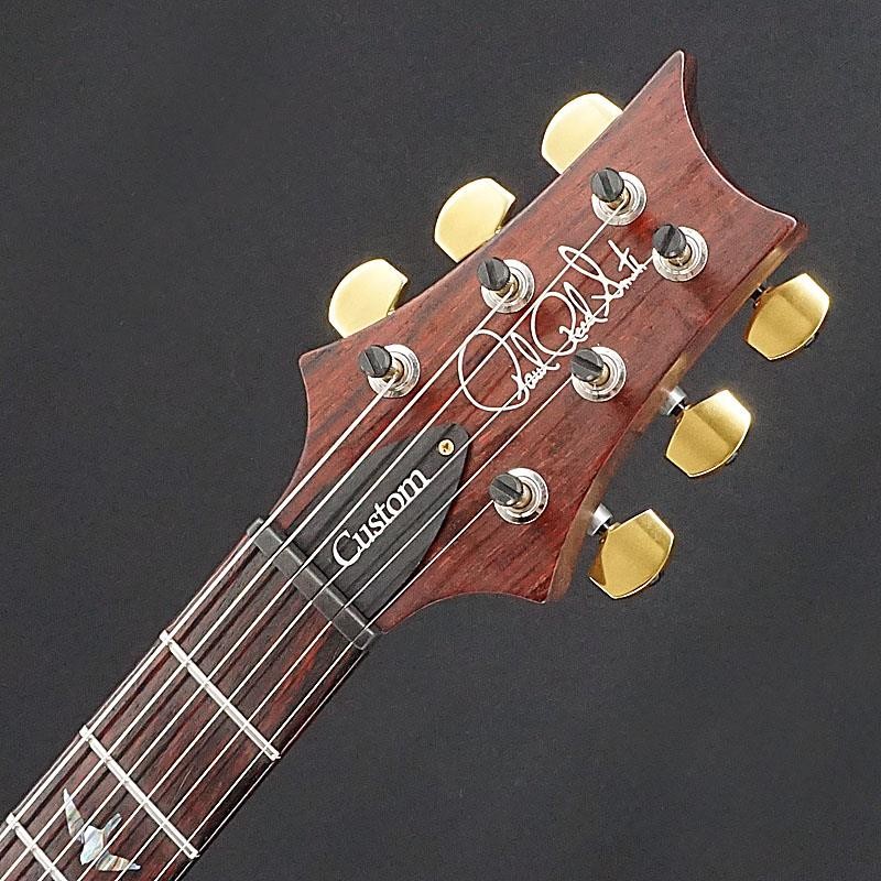 P.R.S. Wood Library Custom 24-08 10Top Rose Neck Aquableux Purple Burst