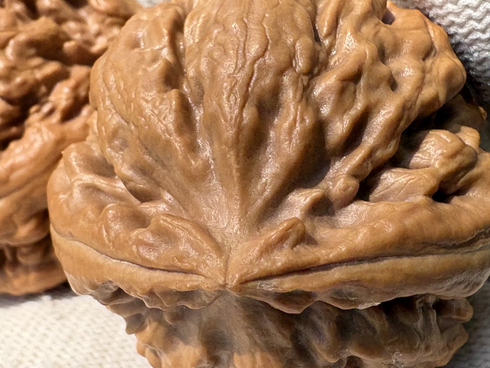 Hand Massage ball Wenwan walnut T-rex Thick Ridge Ba Wang Long Qiu Zi