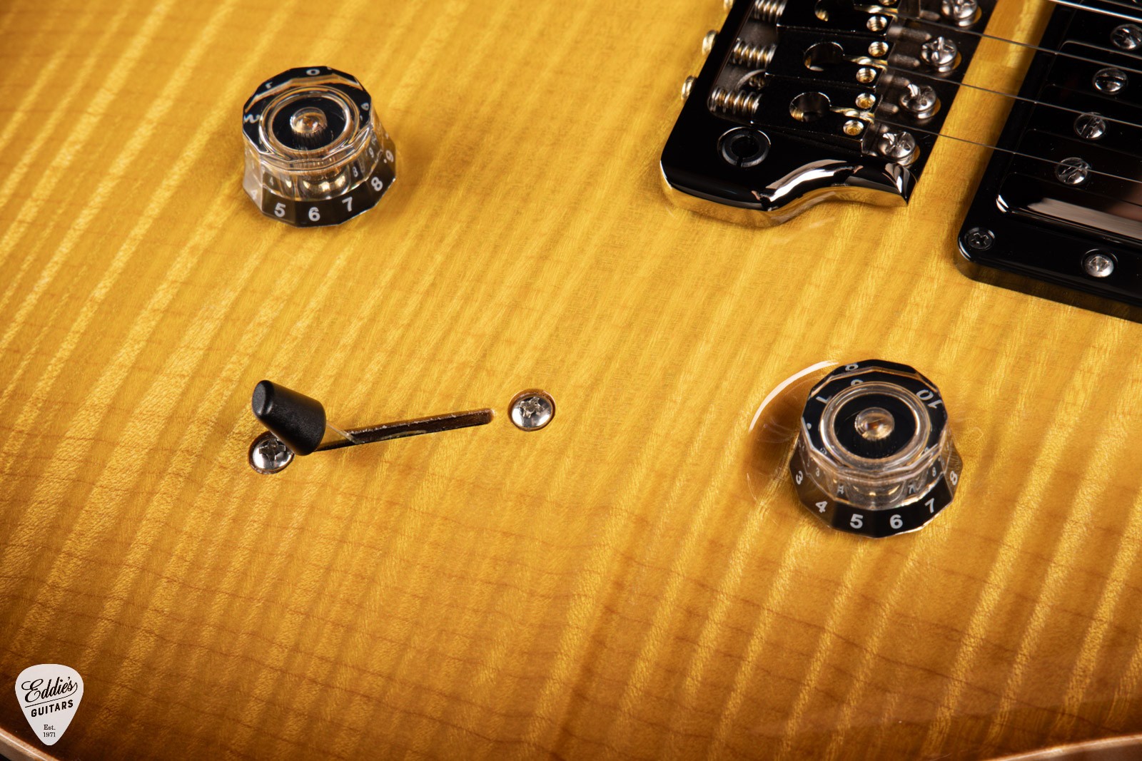 PRS EG Wood Library Custom 24 Semi-Hollow Swamp Ash