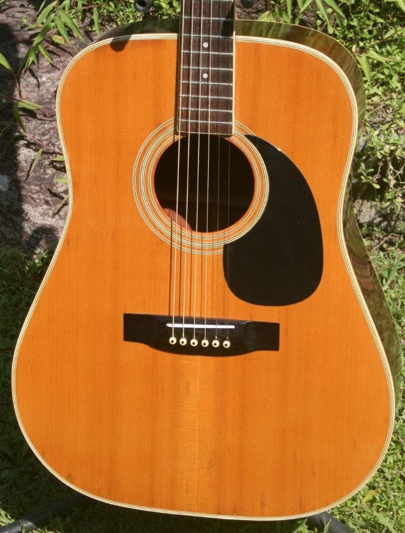 Roje RF300 Western Guitar Zen-On Made Japan 1975