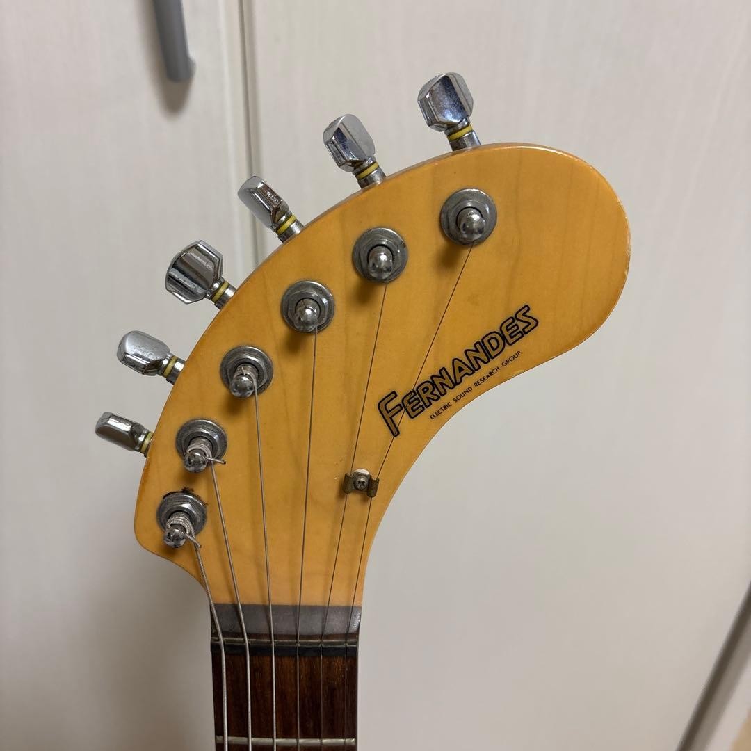 FERNANDES Acrylic ZO-3 Rare Working Condition