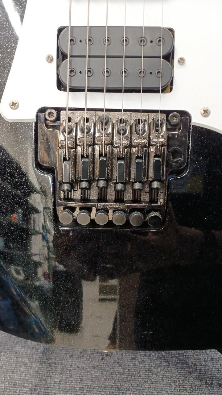 IBANEZ RG2550 Electric Guitar