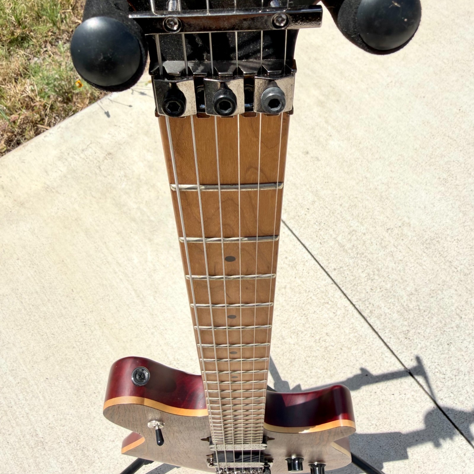 EVH Wolfgang® WG Standard Exotic Bocote