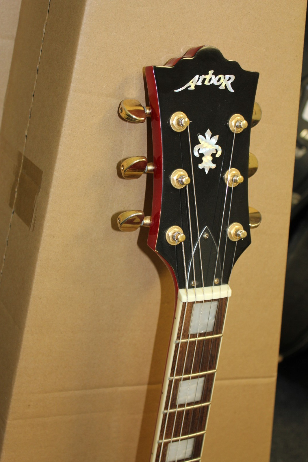 Arbor AP230 Single Cut LP Style Electric Guitar w/Bag