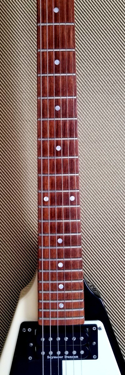 Out Of Production Edwards Flying V E-Fv-125Wb Dot Famous Musician Model Michael