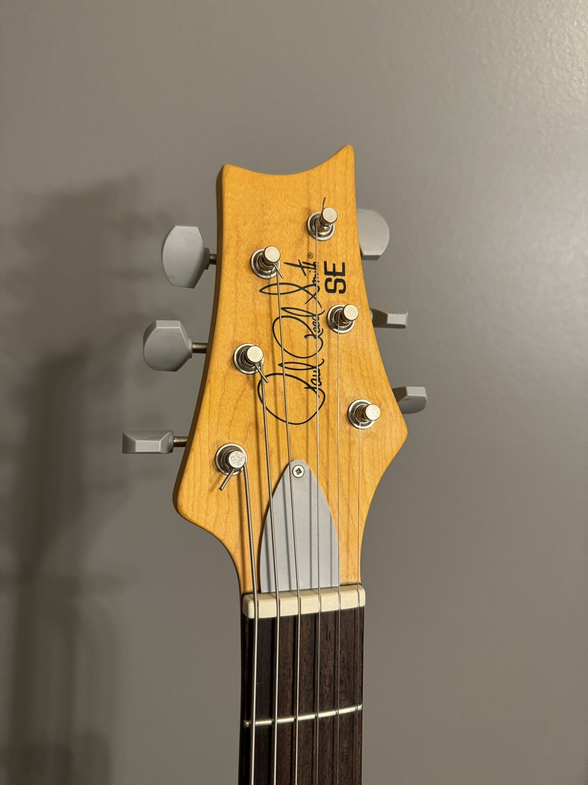 PRS Silver Sky SE SIGNED LO CASH